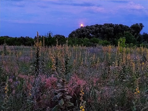 База відпочинку