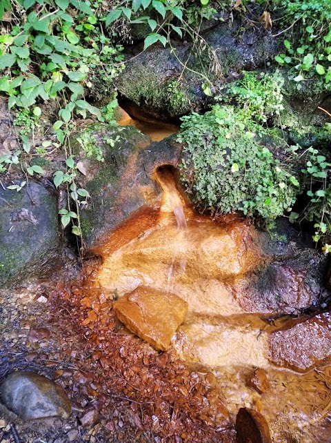 Джерело залізної води