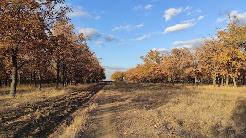 Парк Водникова