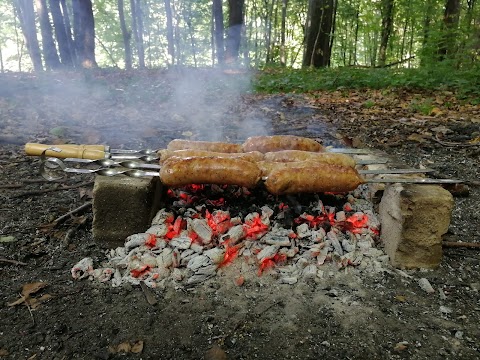 Брюховицький ліс