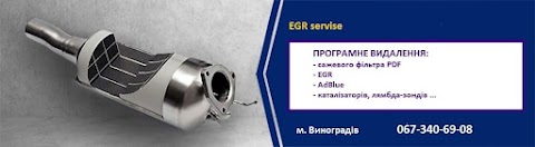 Egr service Сто Автосервіс автоклектрик