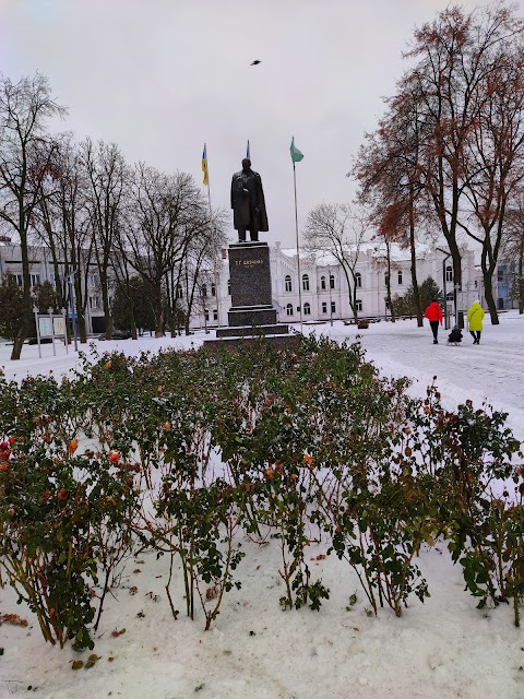 Т.Г.Шевченко