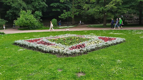 Стрийський парк, лебедине озеро