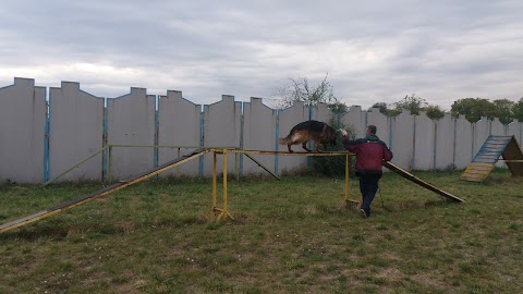 Кинологический центр "Днепровский"