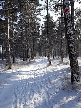 Лузанівський парк, Ландшафтний заказник