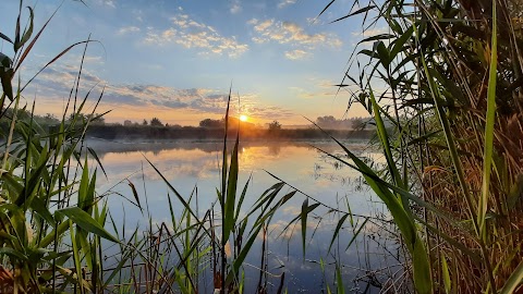 Пляж Лесное