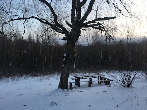 Зона відпочинку Гідропарк