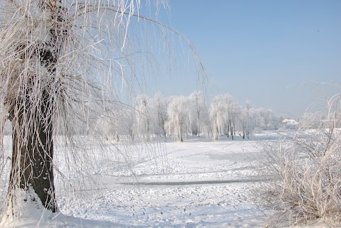 Міське озеро