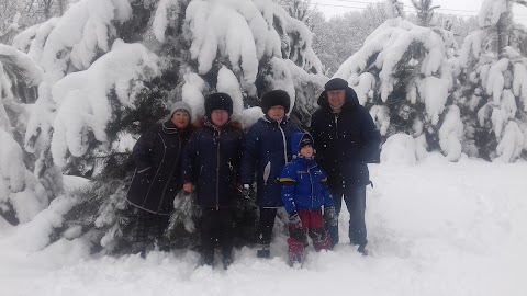 База відпочинку "Лісова пісня"