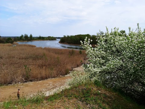 Кемпінг "Козак"