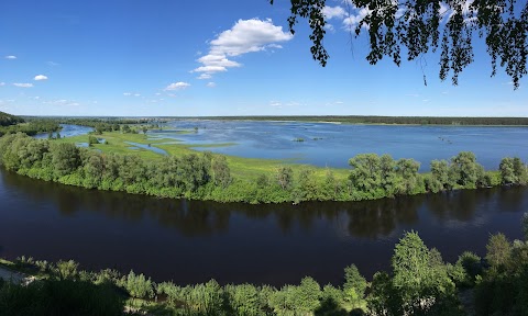 Радичев, Круча Над Десной.