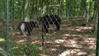 Національний природний парк "Галицький"