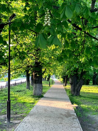 Парк біля церкви Йосафата