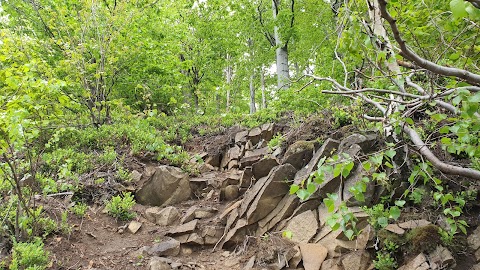 Соколець (геологічна пам'ятка природи)