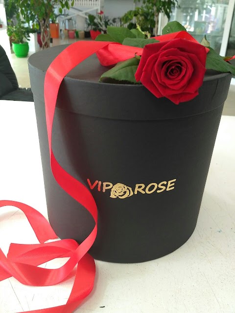 Vip Rose