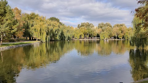 Парк "Лебединка"