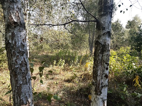 Пляж «Міністерський»