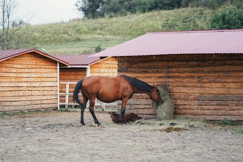 Relax park (Коло неба)