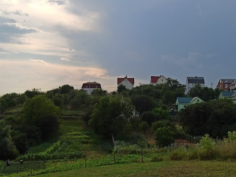 садівниче товариство "Мрія"