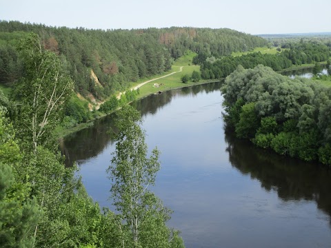 Радичев, Круча Над Десной.