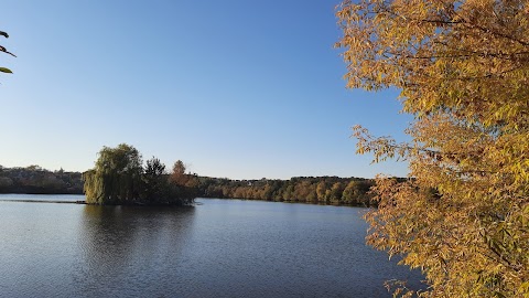 Черленківський замок