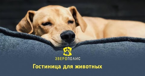 Звірополіс Ветеринарний центр