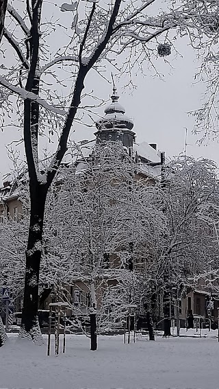 Сквер біля дитячого майданчика