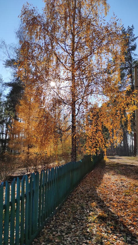 Піщанське лісництво