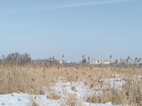 Гнідавське болото