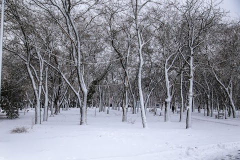 Шевченківський парк