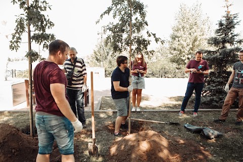 Алея дубiв Букнет