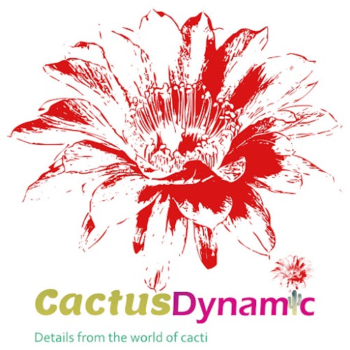 CactusDynamic