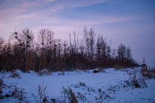 Острів Південний (Сварище) на Київському водосховищі