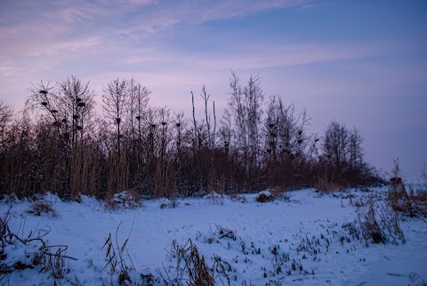 Острів Південний (Сварище) на Київському водосховищі