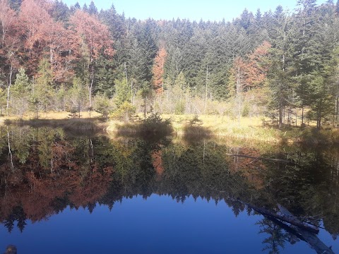 Сколівське озеро