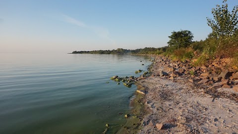 Зона для шашликів