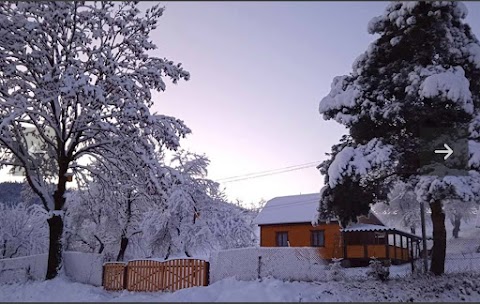 Карпатська оселя,Плав'я