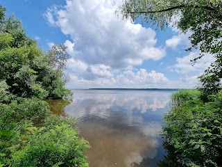 Лавочки и скамейки