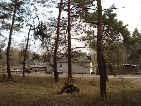 Сільська садиба "Затишок"