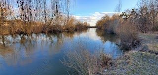 Гарне місце у верби