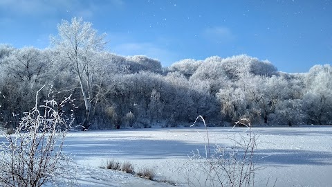 Полтавський міський парк