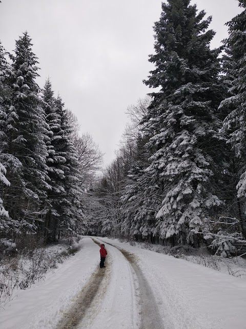 Моршинський заказник