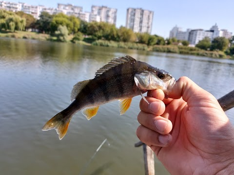 Пляж озера Радунка