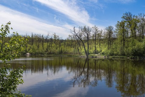 Йосипівський ставок