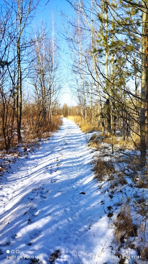 Петропавлівський лісостеп