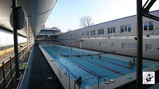 Masters Swim Club Скажені Карасі