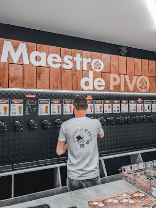 Maestro de PIVO