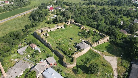 Микулинецький замок