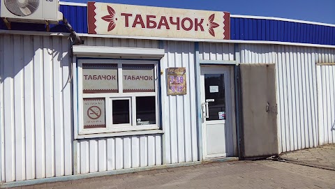 Tabachok