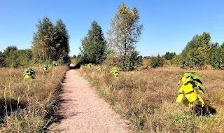 Ландшафтний заказник загальнодержавного значення ''Козинський''